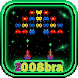 2008bra