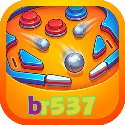 br537